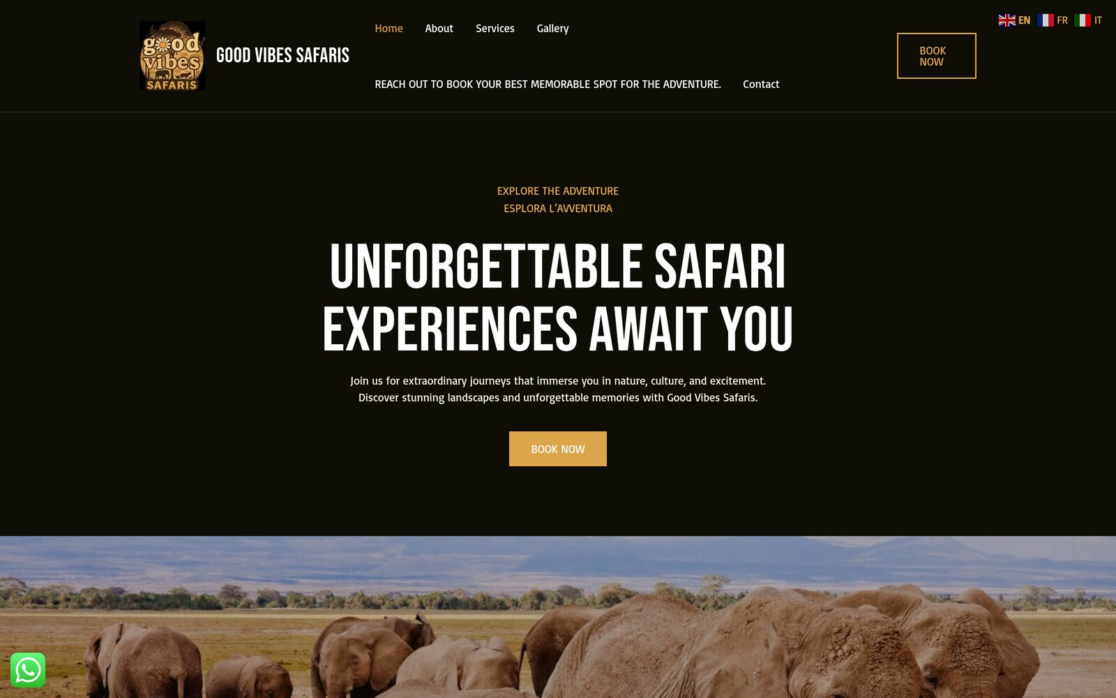 Screenshot preview of the Good Vibes Safaris website